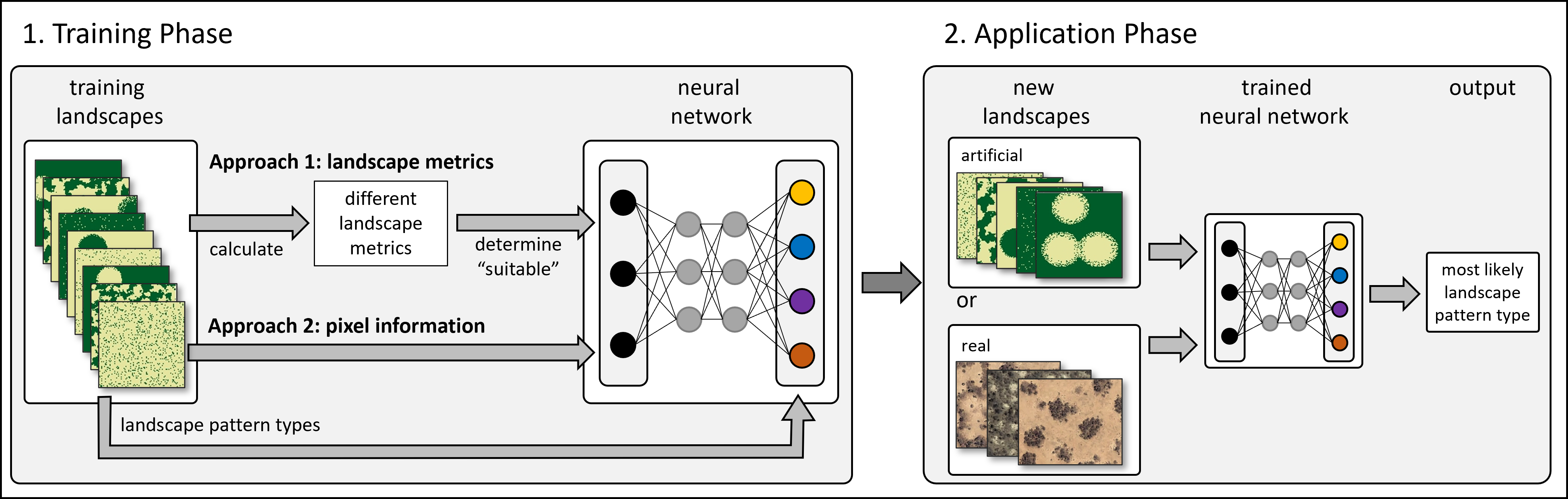 Diagram showing the spatPatClassifyR workflow in two phases: (1) Training phase where training landscapes are fed into a neural network using either landscape metrics or pixel information, and (2) Application phase where new artificial or real landscapes are classified by the trained neural network to predict the most likely landscape pattern class.
